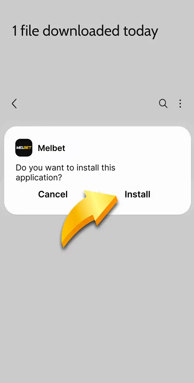 Start the setup via the official Melbet website.