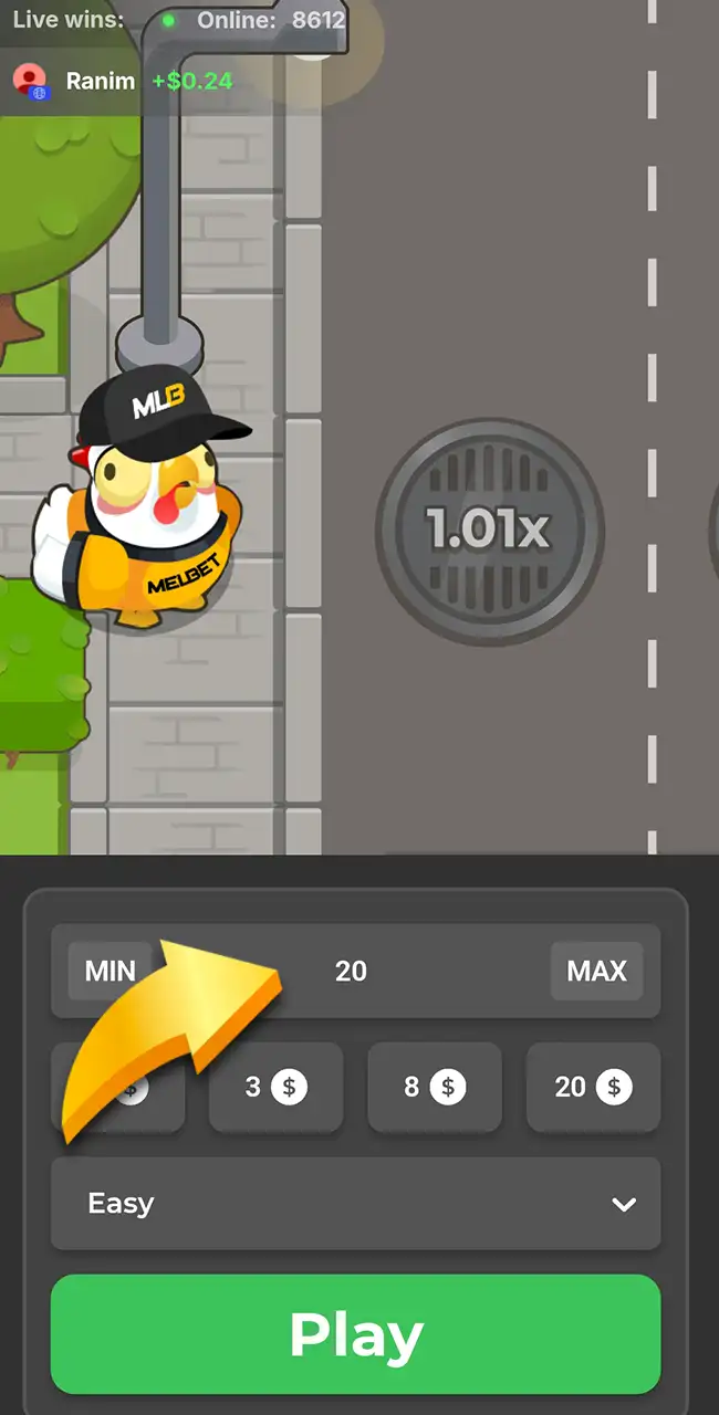 Choose your base stake on the Melbet website.